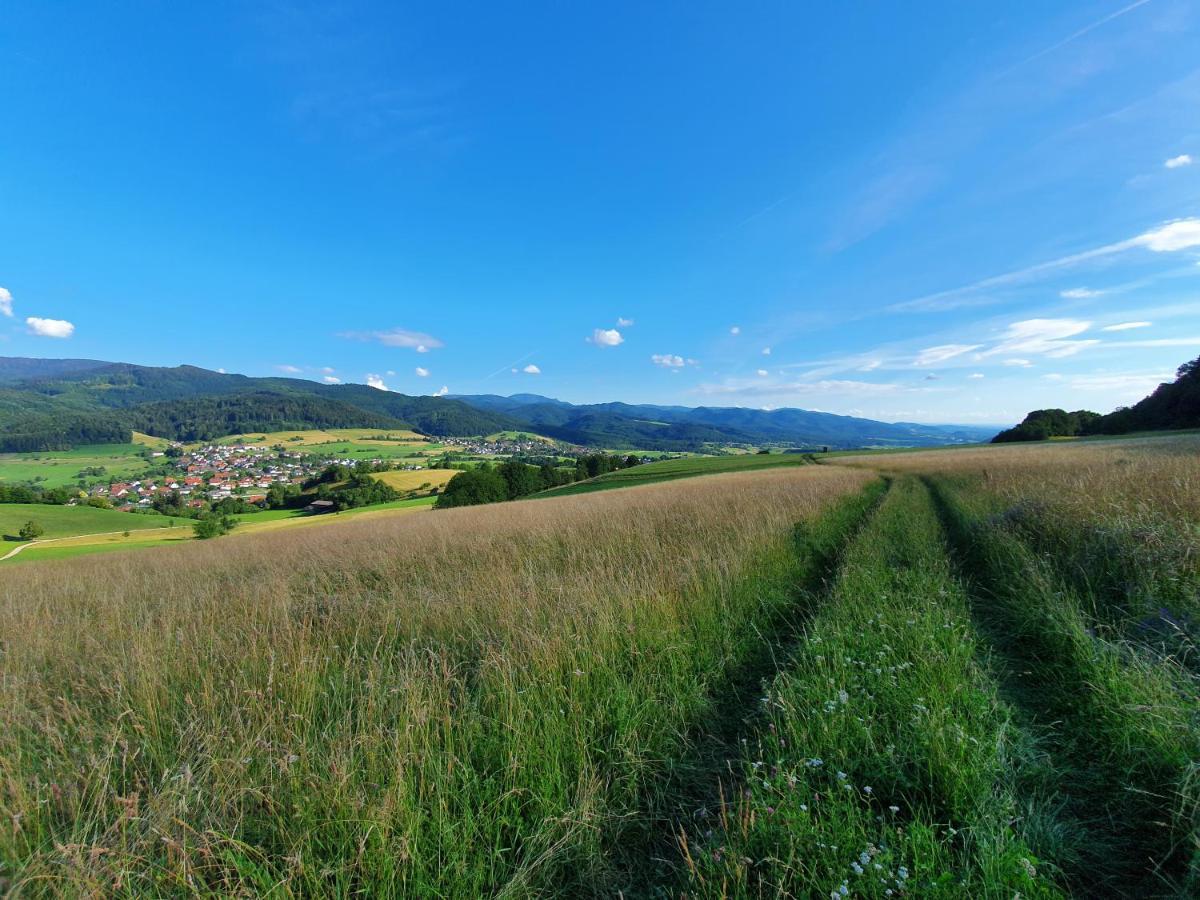Apartment Schneeburg Ebringen Dış mekan fotoğraf
