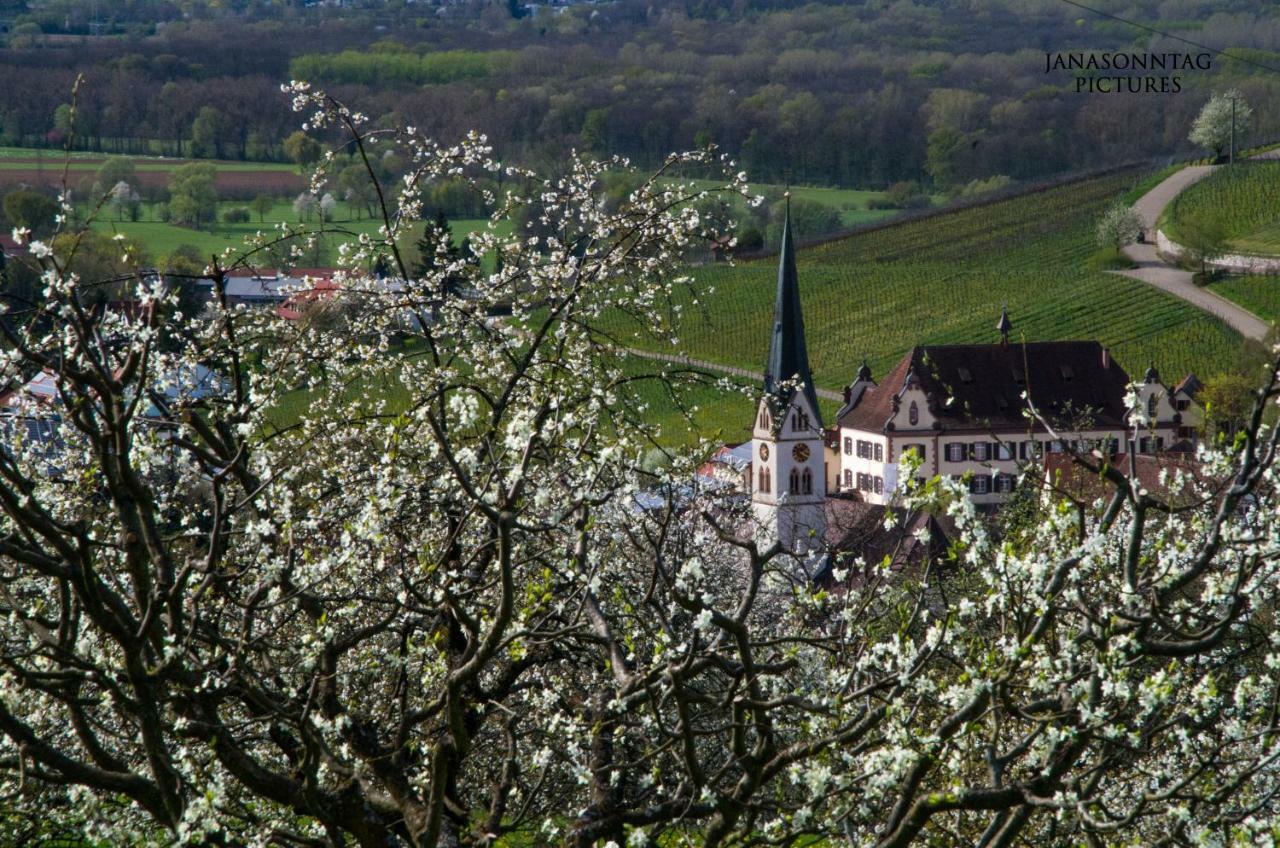 Apartment Schneeburg Ebringen Dış mekan fotoğraf
